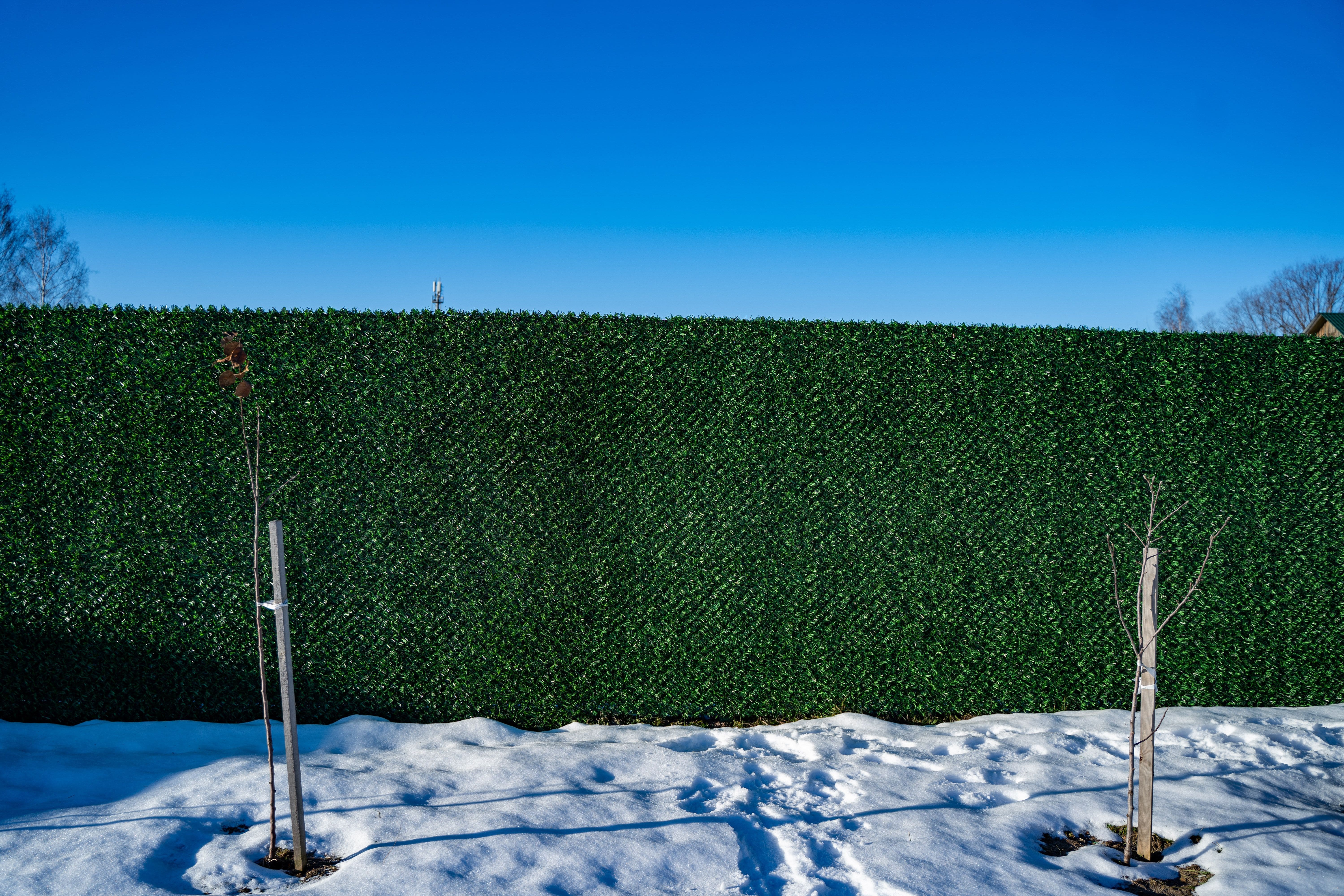 Вечнозеленый забор Grass Fence рулон 2м фото 8 в Новомосковске
